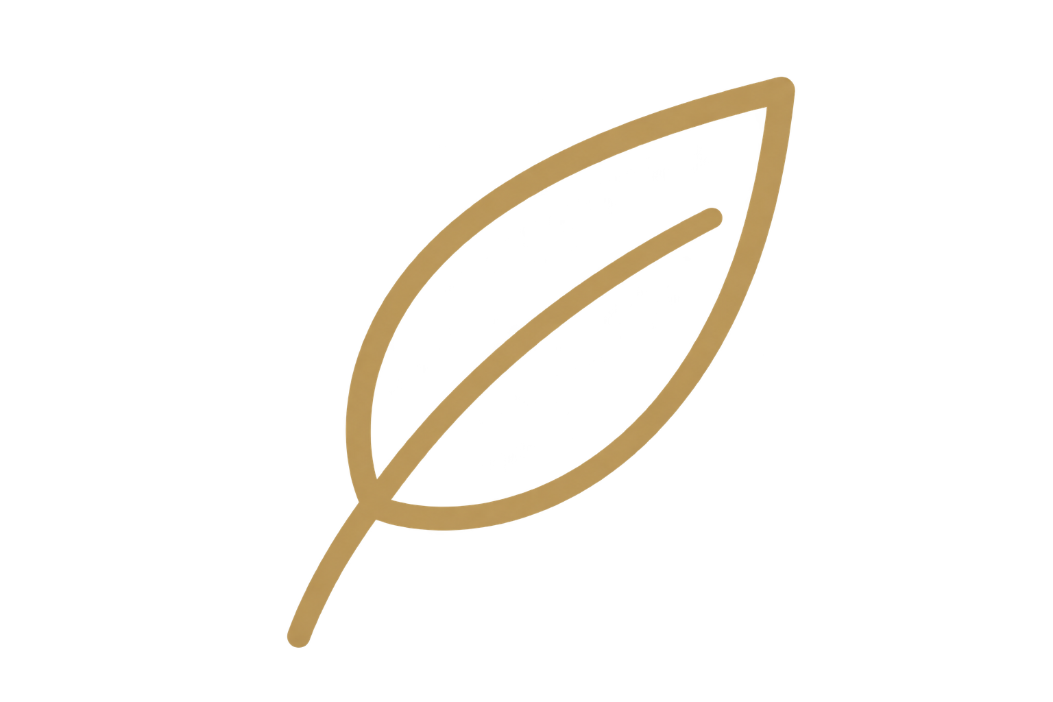 GASTRONOMÍA DE AUTOR